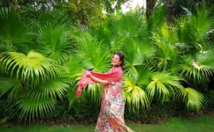 色窝窝9797eecomehttp最新